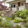 Garden Visit: A Front-Yard Food Forest in Alameda, CA