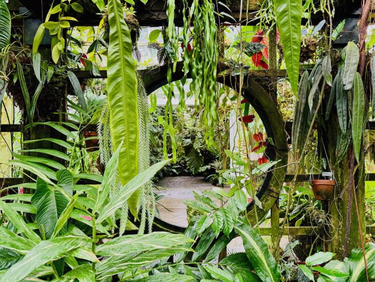 Plant-infused views and vignettes lead you thorough the Conservatory.