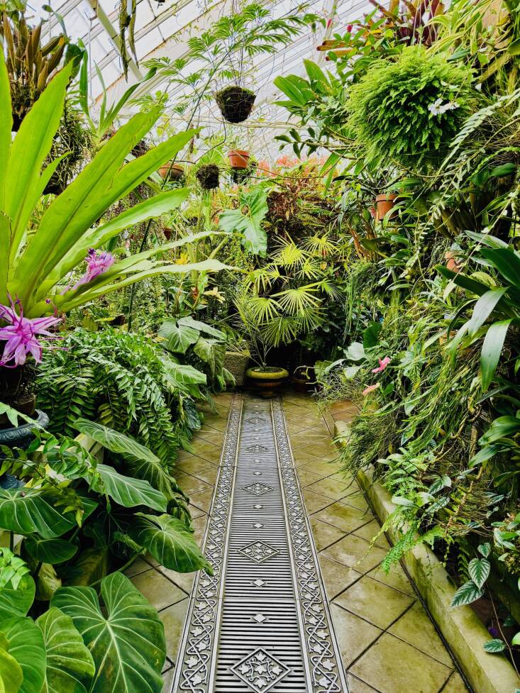 The Potted Plants gallery pays tribute to the Conservatory&#8\2\17;s late \1800s Victorian past, when plant collectors stored their tropical treasures in protective greenhouses.