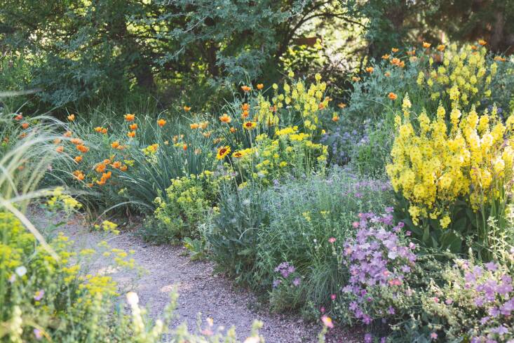 Patchwork plant communities, like this example from the Rock and Alpine Garden at the Denver Botanic Garden, thrive in low-resource environments by minimizing overc-ompetition and promoting ample diversity.