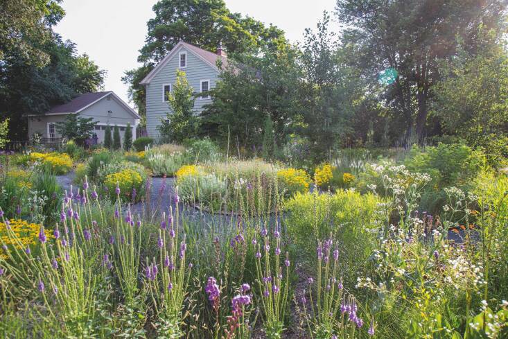 A garden designed by Kelly D. Norris for a client in Ames, Iowa, reflects both its place and the client’s personal preferences. Norris writes, “Beauty is subjective but a necessary tool for cultivating deeper relationships with landscapes.”