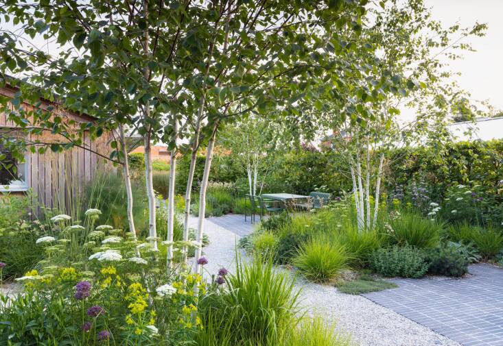  “I wanted to create an imaginative, naturalistic garden that felt connected to the local Suffolk landscape,” says Joseph of his SGD People’s Choice Award-winning garden. The garden surrounds a modern home and is contained within the walls of an old walled garden. Gravel paths connect destination points and meander through the soft, immersive plantings.