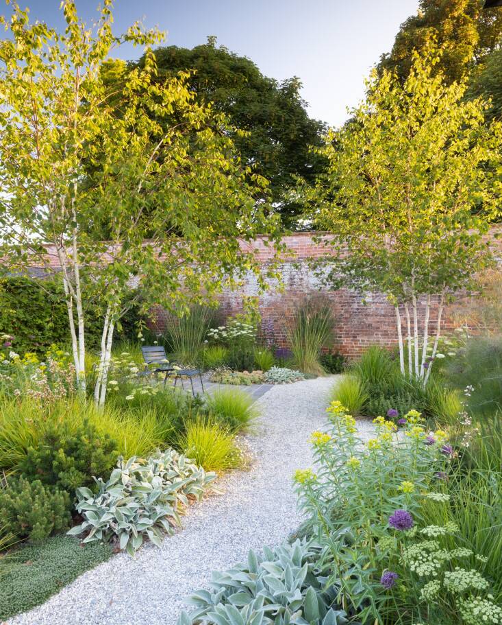  Silver birch trees help to create the “rooms” within the garden. Joseph notes that the stems also offer transparency at eye level, framing and filtering views through the garden. Among the key plants pictured are Euphorbia schillingii, Cenolophium denudatum, Sesleria autumnalis, and flowering bulbs, including Allium atropurpureum.